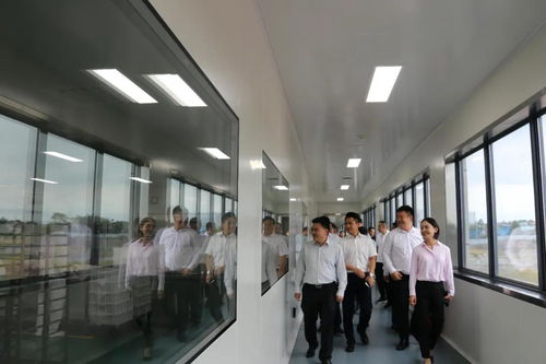 省市場(chǎng)監(jiān)管局局長萬鵬龍調(diào)研我市食品安全工作要求 壓實(shí)主體責(zé)任加強(qiáng)監(jiān)管力度